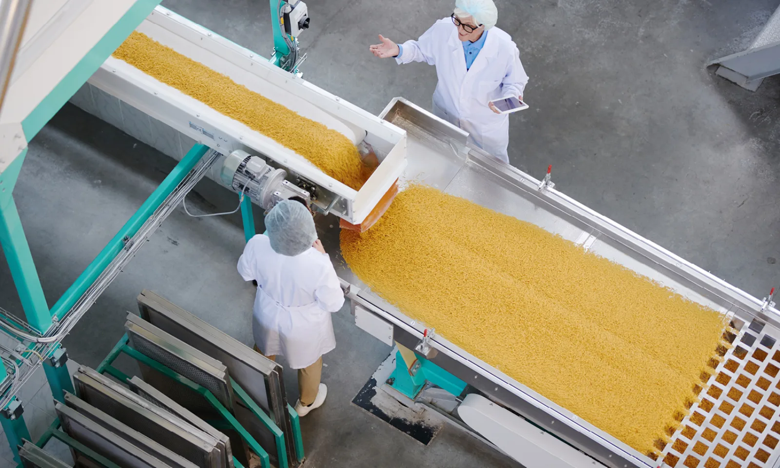 Product being elevated on an inclined conveyor in a food plant, operators alongside